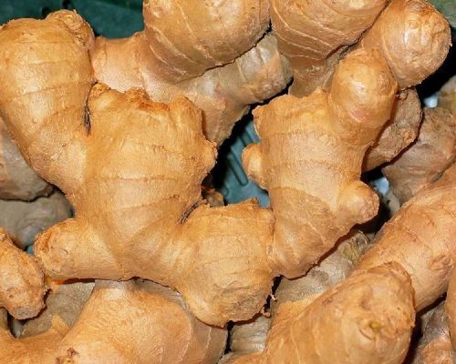 Healthy And Natural Fresh Ginger