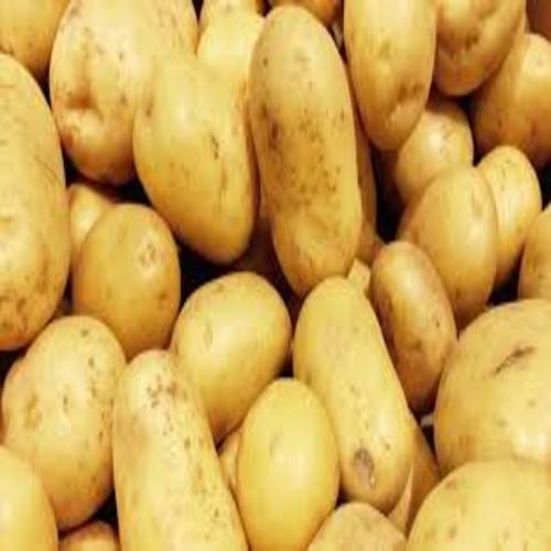 Round Healthy And Natural Fresh Potato