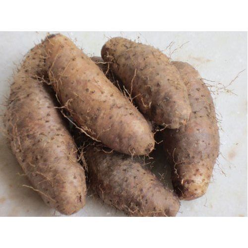 Healthy and Natural Fresh Yam