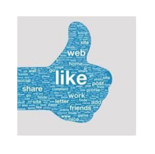 Social Networking Design Service
