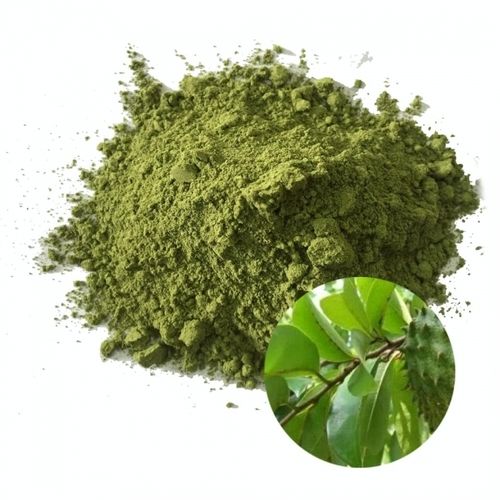 100% Soursop Pure Leaf Powder