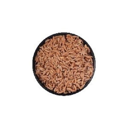 Dried Organic Wheat Seeds