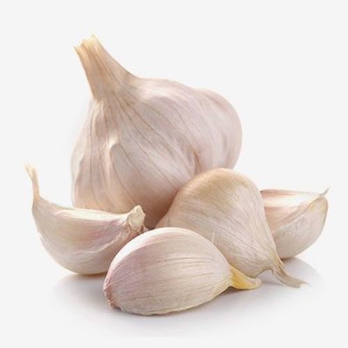 Healthy And Natural Fresh Garlic Moisture (%): 10% Max