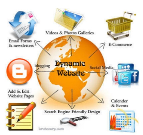Blue Dynamic Designing Service