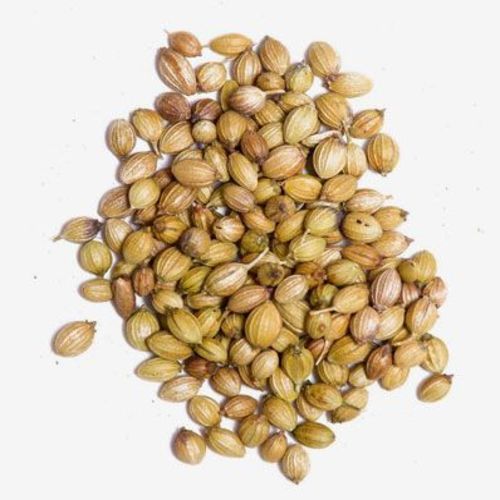 Healthy And Natural Coriander Seeds Grade: Food Grade