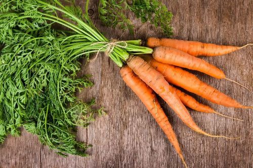 Healthy and Natural Fresh Carrot