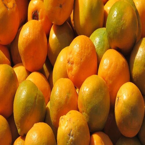 Healthy and Natural Fresh Nagpur Orange 