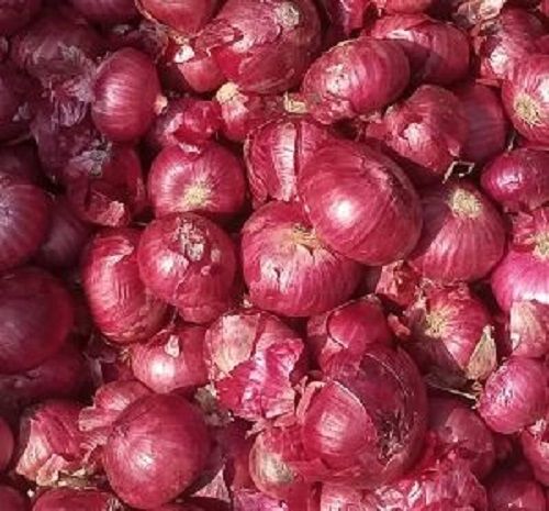 Natural Hygienically Packed Fresh Red Onion