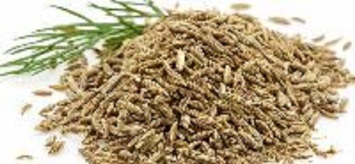 Organic Dried Cumin Seeds
