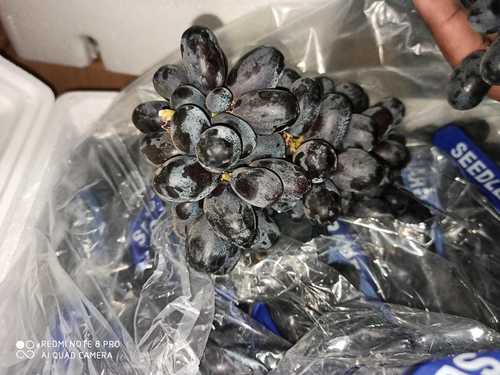 Organic Natural Black Grapes