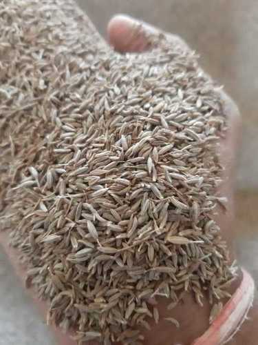 Impurity Free Cumin Seeds