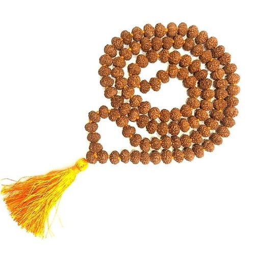 6 Mukhi Rudraksha Mala