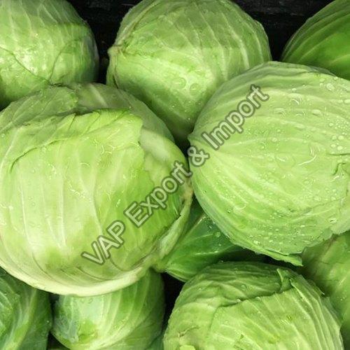 Healthy and Natural Fresh Cabbage