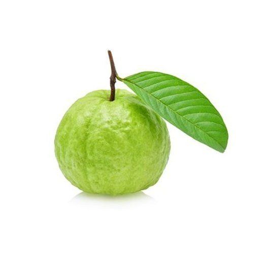 Green Healthy And Natural Fresh Guava