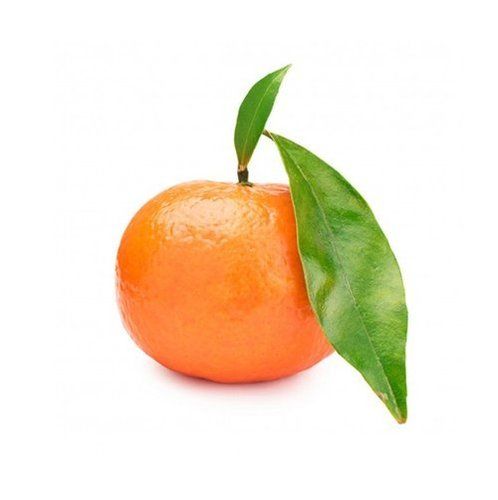 Organic Healthy And Natural Fresh Orange