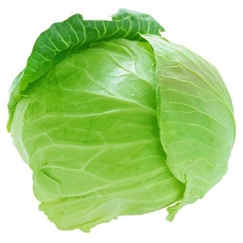 Healthy And Natural Fresh Cabbage