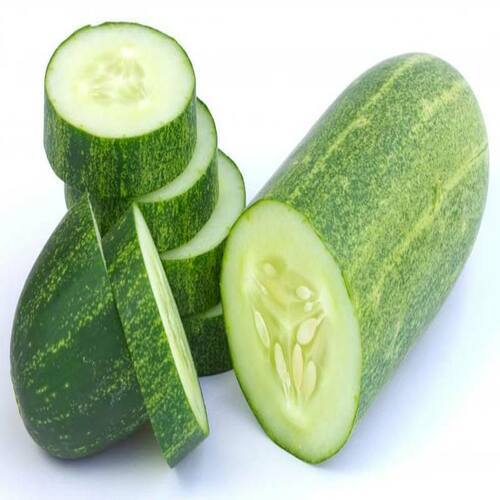 Healthy And Natural Fresh Cucumber Shelf Life: 1-3 Days