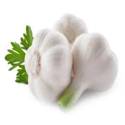 Healthy and Natural Fresh Garlic