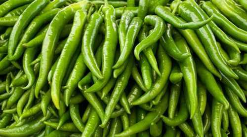 Hot Taste Green Chilies 
