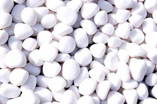 Milky White Pebbles For Landscaping Size: Standard