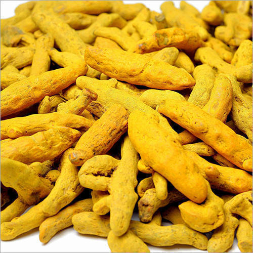 Yellow Healthy And Natural Turmeric Finger