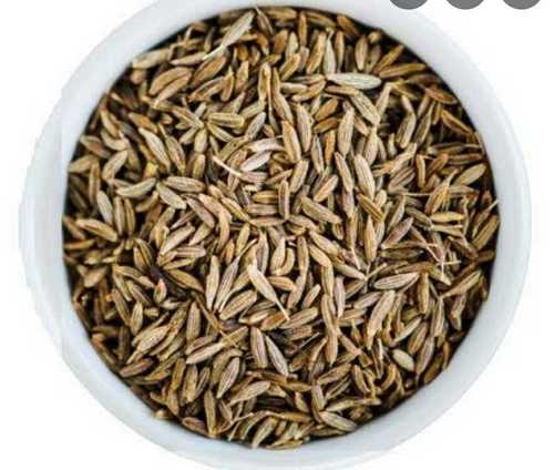 Green Natural Drying Cumin Seeds