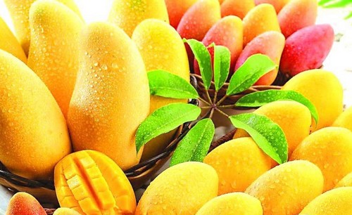 Rich Taste Juicy Mango
