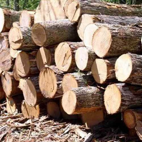 3-6 Meter Timber Wood