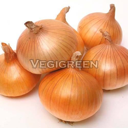 Fresh Brown Onion - 1.7 g Dietary Fiber, 3% Carbohydrate, 15-30 Days Shelf Life | Non Harmful, No Artificial Flavour, Ideal for Cooking and Salads, Very Good Quality, Fresh and Raw Veggie