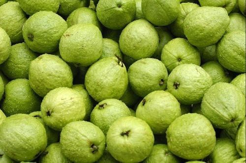 Green Healthy And Natural Fresh Guava