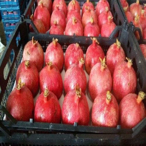 Red Healthy And Natural Fresh Pomegranate