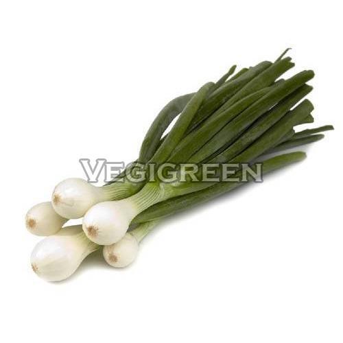 Healthy and Natural Fresh Spring Onion