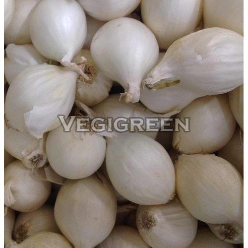 Healthy and Natural Silverskin Onion