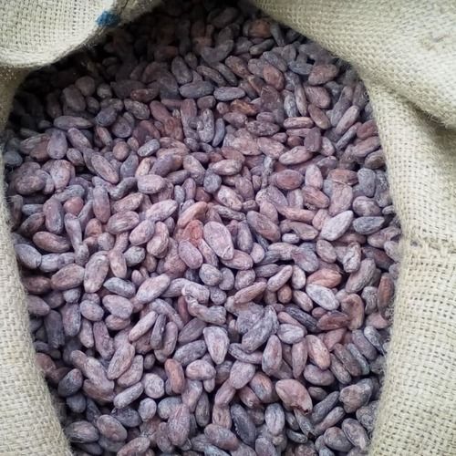 Top Quality Sun Dry Cocoa Beans
