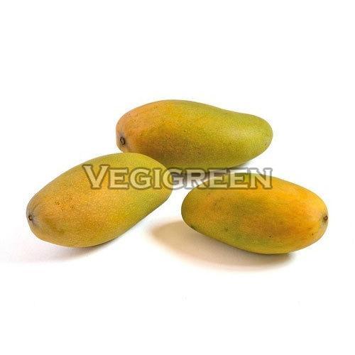 Healthy and Natural Dashehari Mango