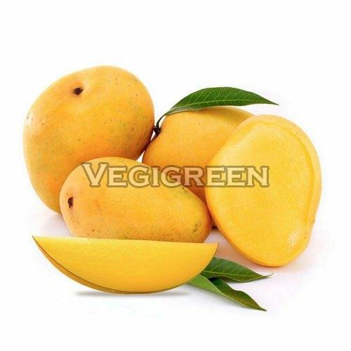 Yellow Healthy And Natural Fresh Banganapalli Mango