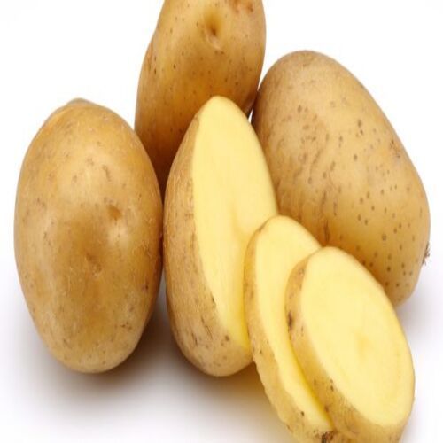 Healthy And Natural Fresh Potato