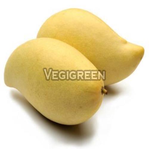 Yellow Healthy And Natural Fresh Totapuri Mango