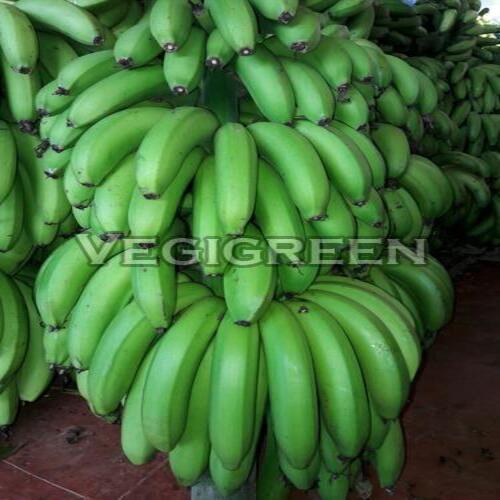 Healthy and Natural G-9 Banana