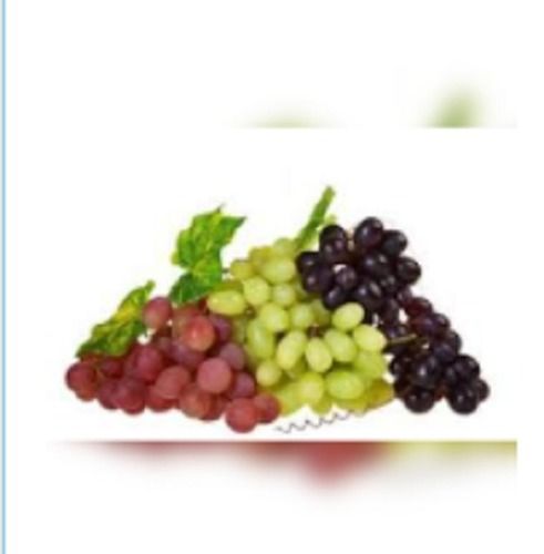 Fresh Organic Grapes