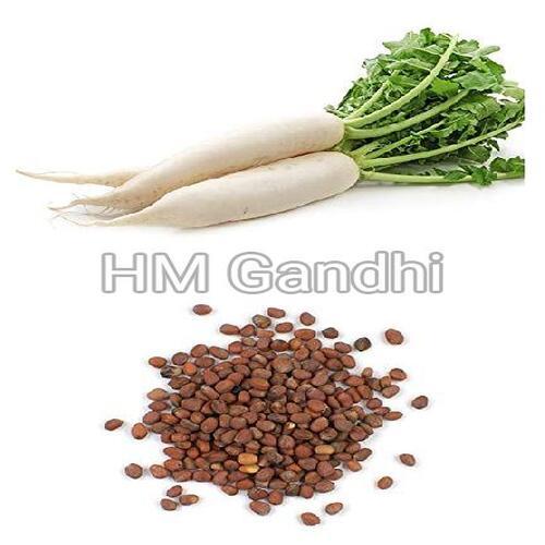 Brown Healthy And Natural Radish Seeds