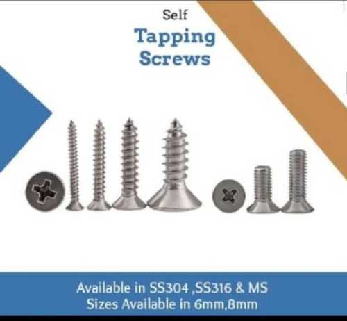 Polished Ss Self Tapping Screws