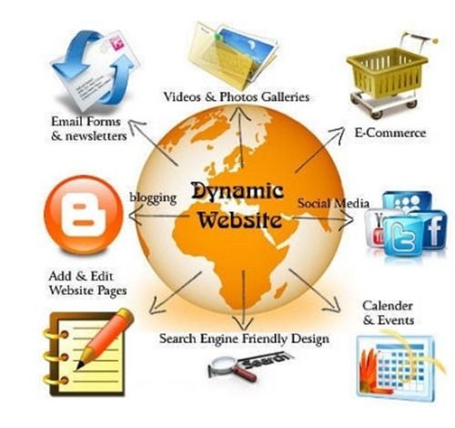 Dynamic Web Designing Service