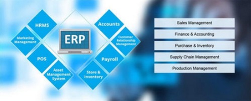 ERP Development Service