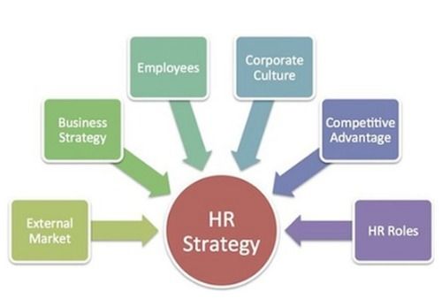 Human Resource HRM Software Development Service