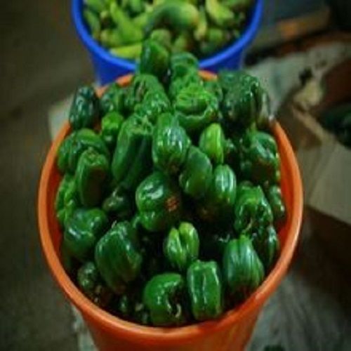 Fresh Green Capsicum