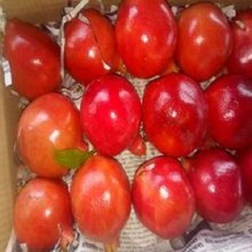 Fresh Organic Pomegranate - Whole Fruit Variety | Rich Sweet Flavor, Easy to Digest, Healthy Choice