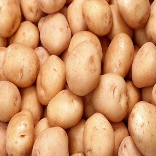 Healthy and Natural Fresh Chipsona Potato