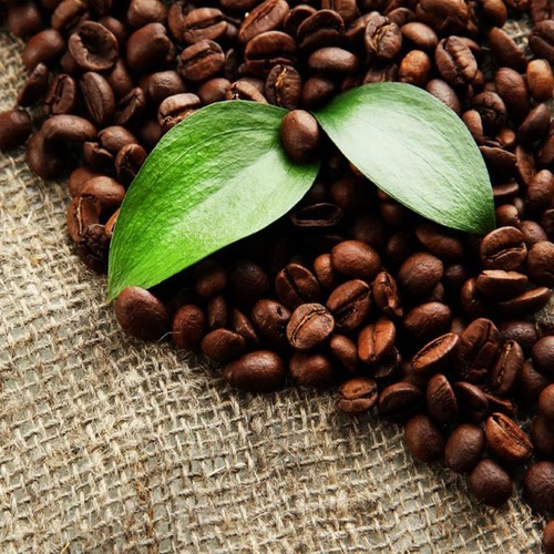 Common Dark Brown Coffee Beans
