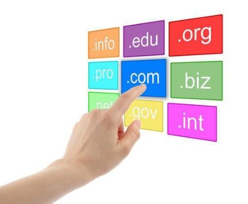 Domain Name Registration Service